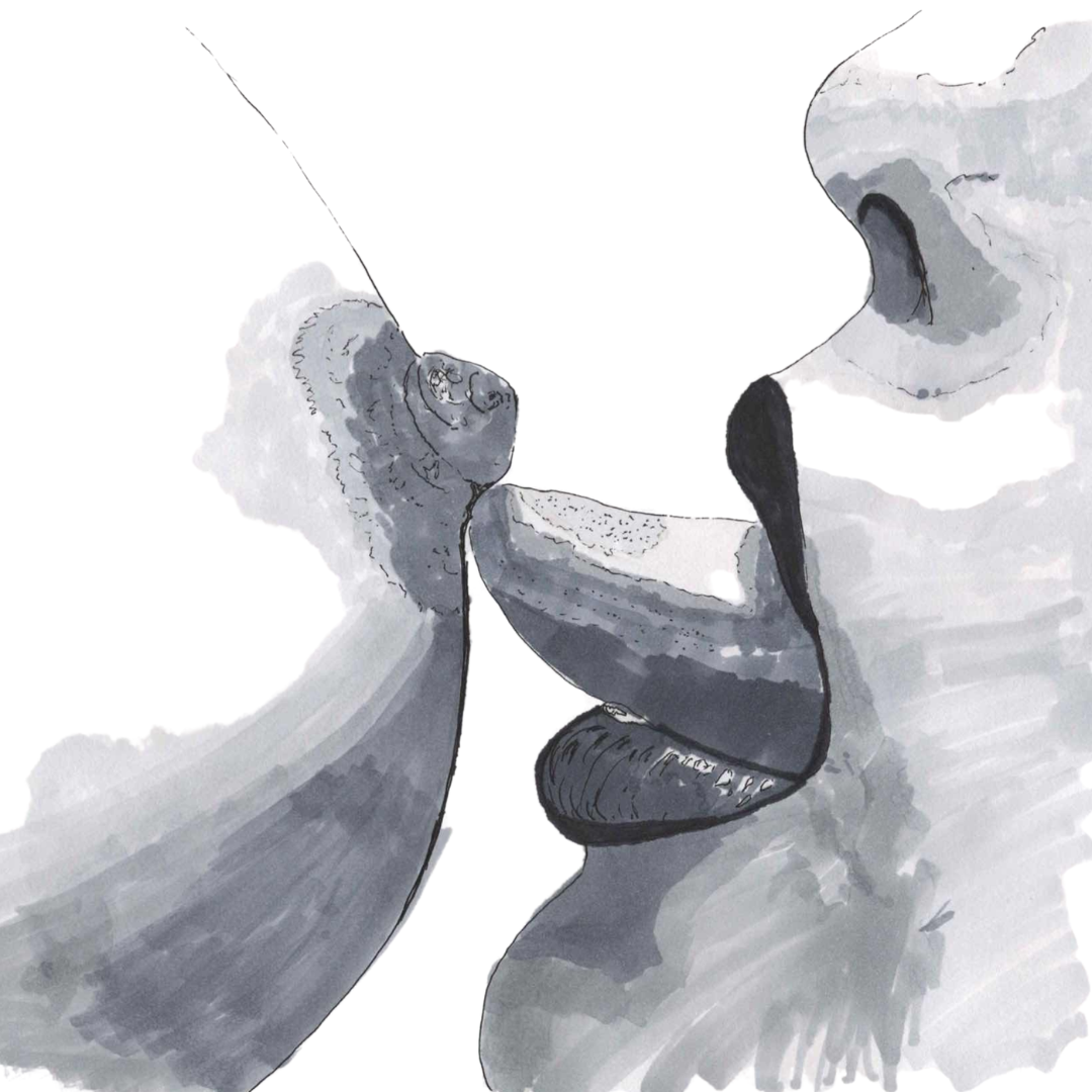 Monochrome sketch by lesbian romance author Ruby Scott capturing the moment before a kiss, a close-up of lips almost touching, symbolising slow-burn passion and intimacy in a lesbian romance book, lesbian love story, and lesbian fiction scene.