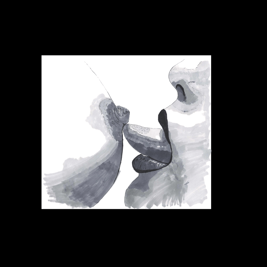 Black-and-white ink drawing of two women sharing a close, intimate kiss, symbolising passion and tenderness from a lesbian romance book, lesbian love story, and lesbian fiction.